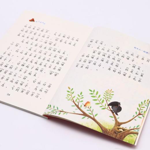 和大人一起读(1上3)/小学基础阅读配套丛书 商品图4