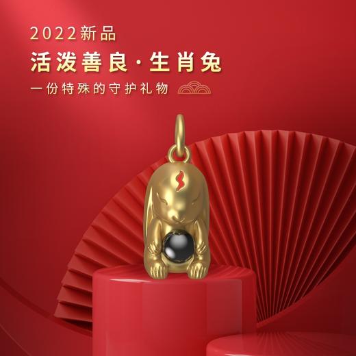 清仓特价：(8合1)楞大隨生肖银项链电镀金 吉祥物属相吊坠 守护投影石挂件 商品图3
