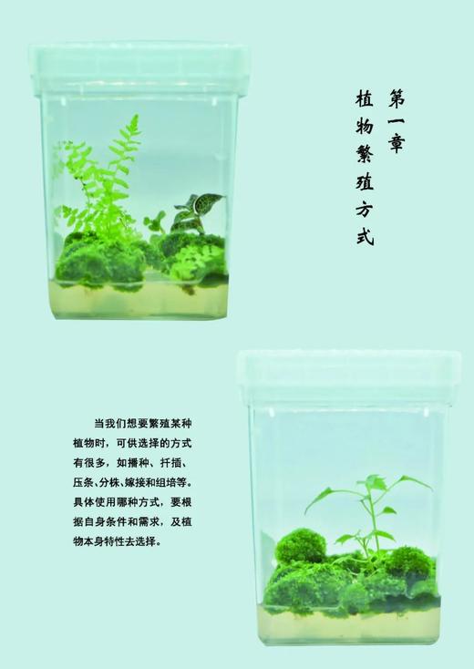 植物组培快繁彩图详解 焦顺然 吕秀立 杨风岭  樊菲 植物组织培养技术书籍  0821中国林业出版社239页 商品图2