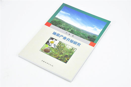 油茶产业升级研究 9679 严谨 著 中国林业出版社 畅销书籍 商品图2