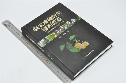 临安珍稀野生植物图鉴 9331 夏国华 梅爱君 主编 植物保护 气候条件 地形地貌 山脉 水系 土壤 森林植被 中国林业出版社 畅销书 商品图1
