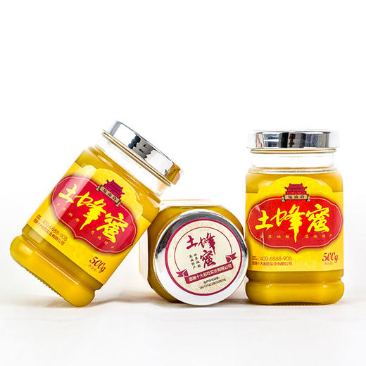 野生土蜂蜜500g 商品图0