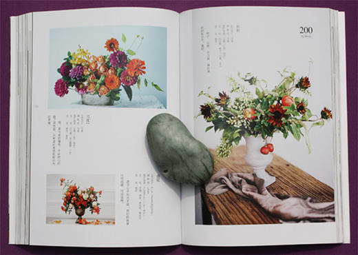 爱上自然风9006花视觉系列 插花书籍花店鲜花花房花工作室花束花艺 入门基础 jojo中国林业出版社自营店 正版畅销 商品图1