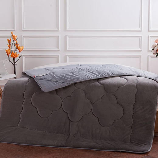 【会员积分兑换】（多喜爱）床垫---斯雅暖绒软垫（灰） 商品图0