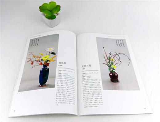 花材文化与中国传统插花 9726 王莲英 贾军 张贵敏 编著 花艺 中国传统插花常用名花花材插花实例 中国林业出版社 畅销书 商品图3
