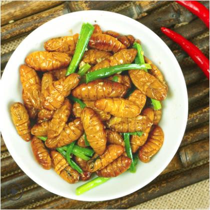 金丝蚕蛹 约350g 商品图3