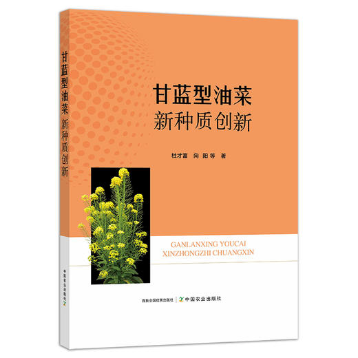甘蓝型油菜新种质创新 29324 菜籽 油菜品种 油菜种植 油料作物 榨油 商品图1