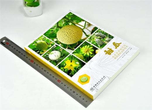 甜瓜优质高效栽培及病虫害防治新技术 9903 张万清 解文新 甜瓜种植分类 品种 栽培技术 中国林业出版社 畅销书 商品图1