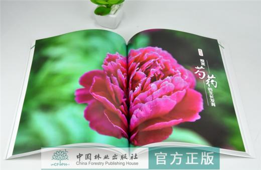 观赏芍药 0162 于晓南 种植病虫害防治养护 芍药历史与文化资源与分布品种分类生长发育繁殖与栽培育种研究应用价值中国林业出版社 商品图3