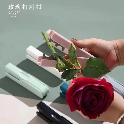 马卡龙--打刺刀（颜色随机） 商品图3