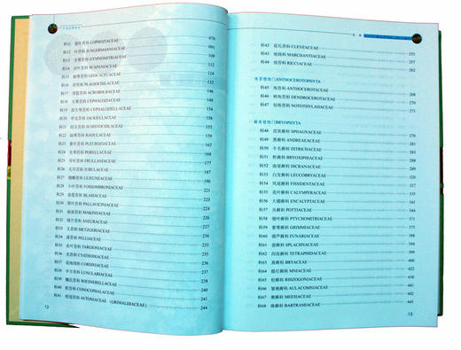 中国苔藓图鉴 吴鹏程 9071 基本形态构造 苔藓植物系统分类 藻苔 苔类 角苔 菌类 环境形态解剖素描组图 畅销书中国林业出版官方店 商品图3