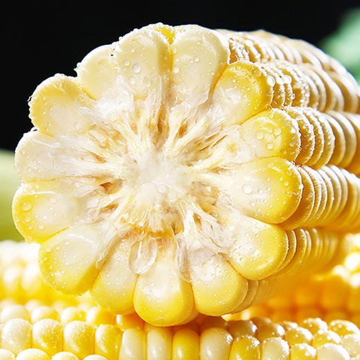 云南水果玉米，新鲜现发，爆浆多汁，甜嫩好吃，水煮都好吃 商品图1