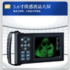 华畜 新型兽用B超机 十种色彩 高清大屏 多功能测量 图像清晰 测量准确 兽用B超机 商品缩略图3