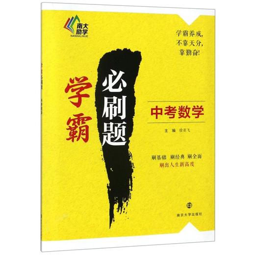 中考数学/学霸必刷题 商品图0