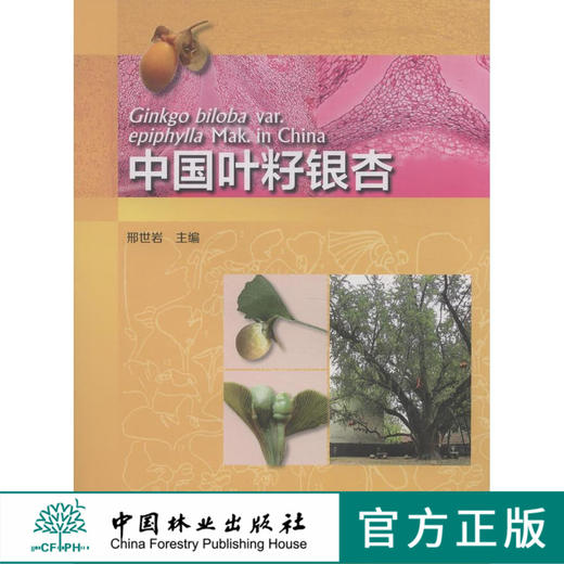 中国叶籽银杏 7648 资源分布 叶籽银杏生物学 形态 解剖学 发育过程 形态变异 细胞生物学 系统发育 遗传多样性 中国林业出版社 商品图0