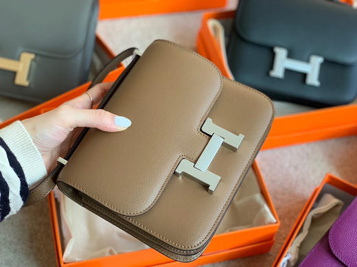 高定康康出货 〰️山羊皮威马犬 商品图2