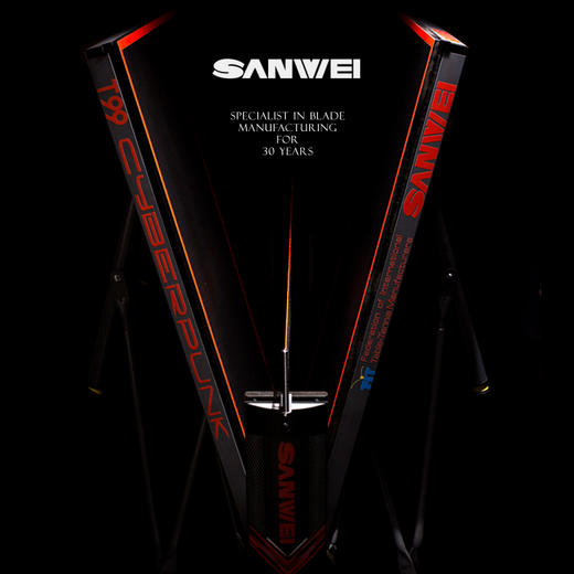 三维Sanwei T99 赛博朋克 专业乒乓球球台 双色可选 商品图2