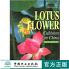 中国荷花品种图志 英文版 3867 王其超张行 中国林业出版社 商品缩略图0