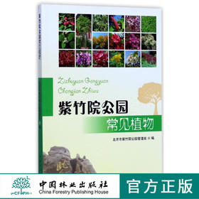 紫竹院公园常见植物  8776