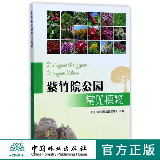 紫竹院公园常见植物  8776 商品图0