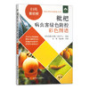 枇杷病虫害绿色防控彩色图谱 29440 张斌,夏忠敏 扫码看视频·病虫害绿色防控系列 枇杷栽培 枇杷种植 病虫害防治 商品缩略图2