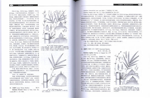 深圳植物志 第4卷 8309 深圳市中国科学院仙湖植物园 2800多种植物 野生植物 悠久栽培历史的植物 园林植物 中国林业出版社畅销书 商品图3