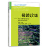 梯馈珍馐——涉县旱作梯田系统食药物品种图鉴 29401 全球/中国重要农业文化遗产 河北涉县旱作梯田系统丛书 商品缩略图1