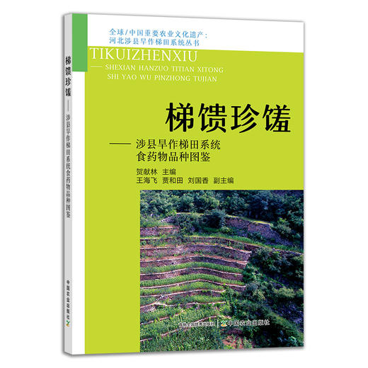梯馈珍馐——涉县旱作梯田系统食药物品种图鉴 29401 全球/中国重要农业文化遗产 河北涉县旱作梯田系统丛书 商品图1