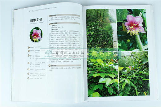 中国果树地方品种图志 中国猕猴桃地方品种图志 9400 中国林业出版社 畅销书籍 商品图2