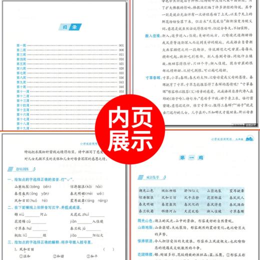 【2022新】小学成语周周练三年级四年级五六年级上册下册通用小学生语文课后成语积累训练大全积累本学习范本专项强化同步练习册题 商品图2