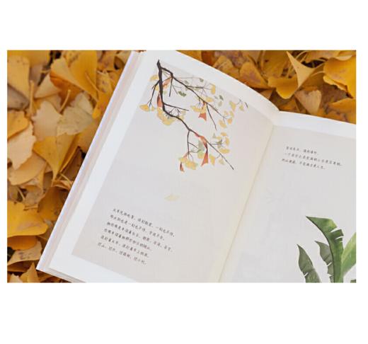 时间从来不语，却回答了所有问题 商品图5