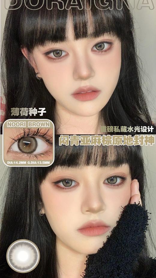 Doragina 年抛 薄荷种子 直径14.2mm着色13.5mm 商品图4