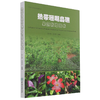 热带珊瑚岛礁果蔬栽培技术 陈红锋//易绮斐 1110 中国林业出版社 商品缩略图4