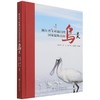 浙江省玉环漩门湾国家湿地公园鸟类(精)  1334 孙海平//赵洪//陈严雪//吴丞昊中国林业出版社 商品缩略图1
