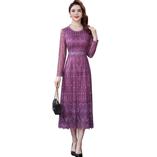 WXY-XY-210661W新款轻奢优雅气质收腰圆领长袖长款网纱刺绣连衣裙 商品图4