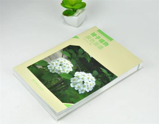 被子植物原色图谱 马永红 杨彪 主编 0153 四川卧龙国家*自然保护区系列丛书 中国林业出版社 商品图2