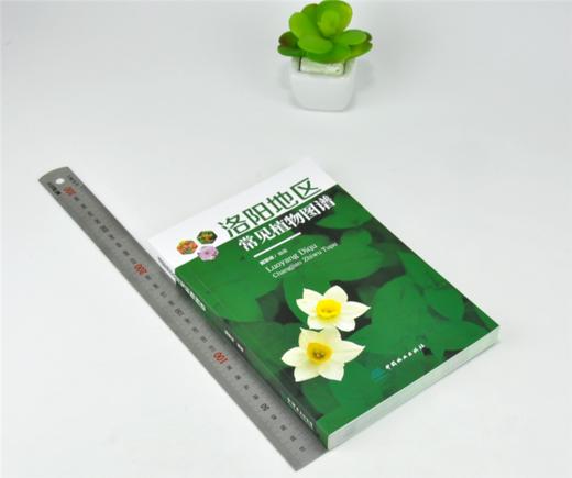 洛阳地区常见植物图谱 0256 戴攀峰 编著 蕨类植物 裸子植物 被子植物 中国林业出版社 商品图1