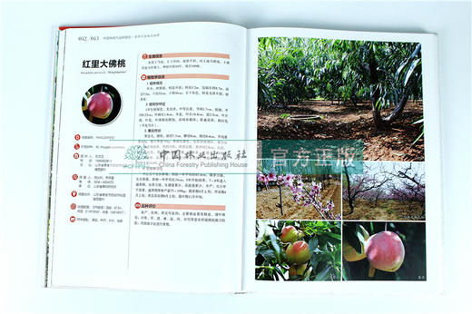 中国果树地方品种图志 中国桃地方品种图志 9398 中国林业出版社 畅销书籍 商品图2