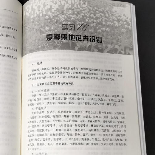 园林花卉学实习实验教程 第2版 刘燕//何恒斌//李秉玲 高等院校园林与风景园林专业系列实践教材 1363 中国林业出版社 商品图3