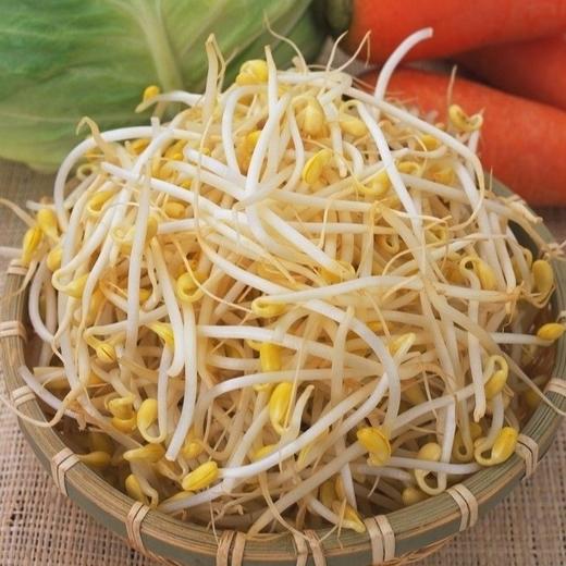 黄豆芽  500g 商品图0