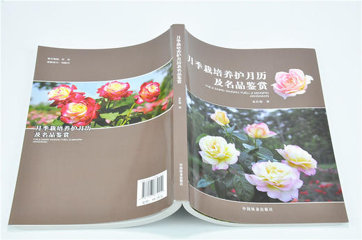 月季栽培养护月历及名品鉴赏 7445 保护地月季的栽培管理 露地月季栽培 栽培养护 辩叶识花 病虫害防治 中国林业出版社畅销书 商品图4