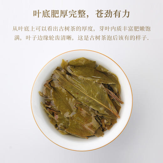 一球2022年百山百味·南糯普洱生茶饼200g 商品图3