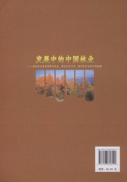 发展中的中国林业下5819国家林业局发展现代林业地方卷下  中国林业出版社正版畅销书 商品图2