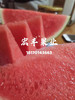宏丰精选 美都西瓜  口感甜 西瓜味浓郁  活动价4.98元一斤 商品缩略图2
