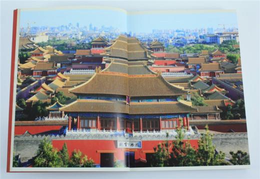 中国古建全集 皇家建筑 简装版 9217 故宫 宫殿 王府 县衙 天坛地坛 建筑设计赏析 中国林业出版社 畅销书 商品图2