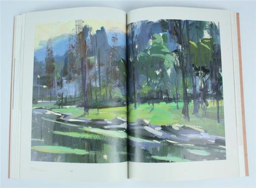 建筑师唐葆亨 建筑名师系列丛书 8679 将纹 作品欣赏 学术活动剪影 中国林业出版社 畅销书 商品图2