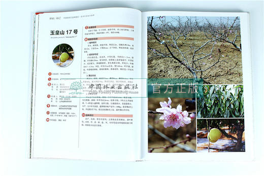 中国果树地方品种图志 中国桃地方品种图志 9398 中国林业出版社 畅销书籍 商品图3