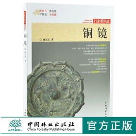 铜镜 行家带你选 9974 姚江波 著 断时代 辨真伪 评价值 为收藏 古物鉴赏书 中国林业出版社