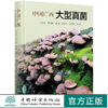 中国广西大型真菌(精) 0468 中国林业出版社 商品缩略图0