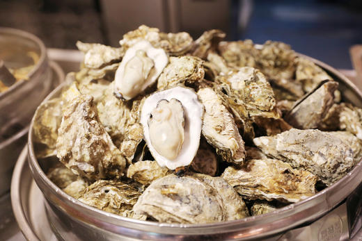 【北京昌平】朗丽兹太和府酒店平日周末撸猫套餐 | 自助餐+猫檐撸猫+探索乐园+表演活动【BW】 商品图10